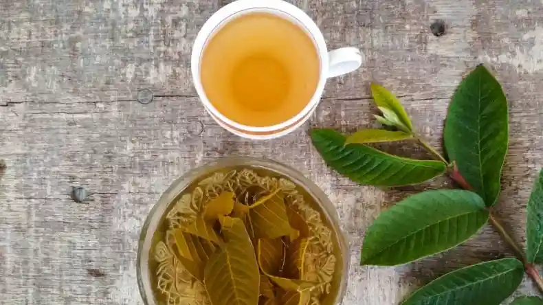 अंकुरित अनाज खाने के चार बड़े फायदे,  वजन घटाने से लेकर सेहत में सुधार तक