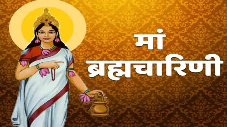 मंगलवार को जरूर करें हनुमान जी से जुड़े ये उपाय, पैसों से भर जाएगी जेब और बनेंगे बिगड़े काम
