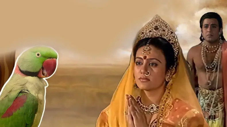 विवाह पंचमी आज, इस विधि से करें राम-सीता का विवाह, नोट करें शुभ मुहूर्त और जानें इस दिन का महत्व