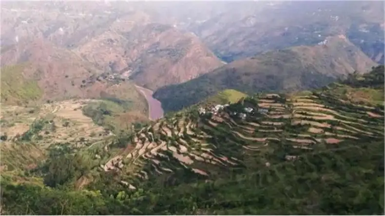 करवा चौथ पर पत्नी ने पति को दिया ऐसा गिफ्ट, देखकर दहल जाएगा दिल