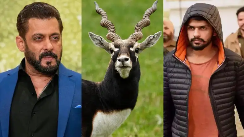 यूपी विधायक पर मंडरा रहा है खतरा, लॉरेंस बिश्नोई गैंग के अरेस्ट शूटरों का बड़ा खुलासा