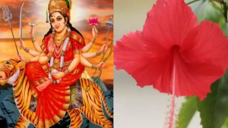 नवरात्रि में अष्टमी और नवमी एक ही दिन है? जानें पूजन मुहूर्त