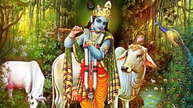 विवाह पंचमी पर करें ये प्रभावशाली उपाय, खुशियों से भर जाएगा वैवाहिक जीवन, राम-सीता की बरसेगी कृपा