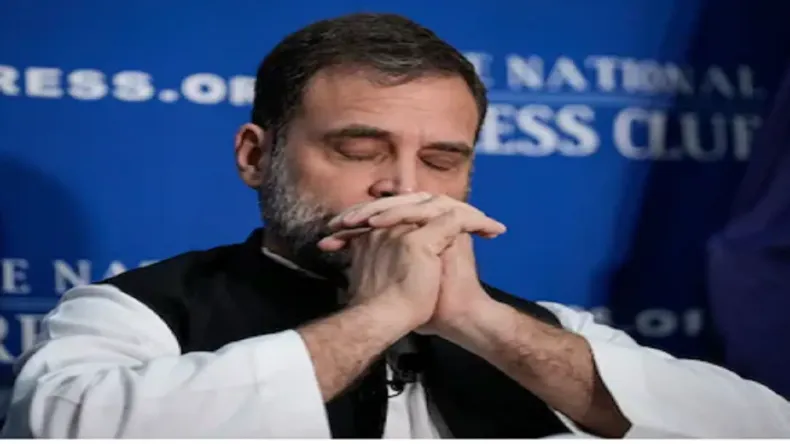 19 दिसंबर को राहुल गांधी की नागरिकता पर होगा बड़ा फैसला! केंद्र बोला- हम…