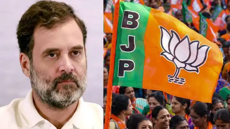 19 दिसंबर को राहुल गांधी से छिनेगी भारत की नागरिकता? केंद्र ने कोर्ट में ये क्या कह दिया