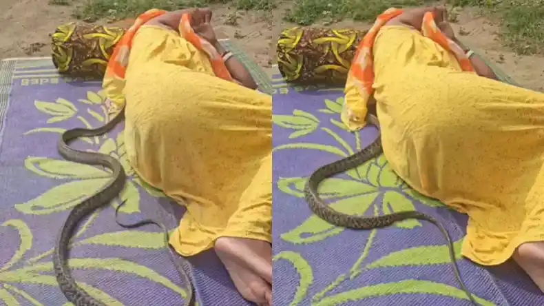Washing Machine का शख्स ने किया ऐसा इस्तेमाल, वीडियो देखकर फटी रह जाएंगी आँखें