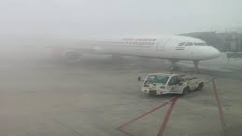 दिल्ली एयरपोर्ट पर मिला मगरमच्छ का सिर, मचा हड़कंप