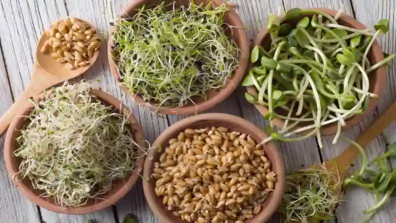 सर्दियों में अच्छी हेल्थ के लिए दूध के साथ मिलाकर पिएं ये चीजें, मिलेंगे एक नहीं कई फायदे
