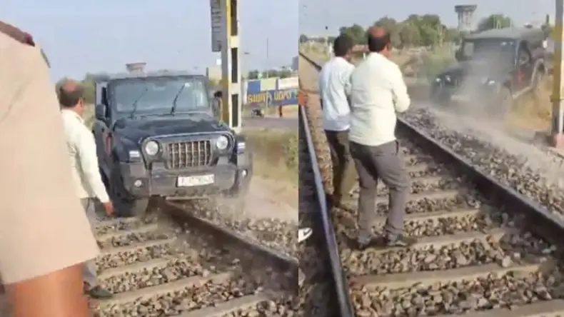 जयपुर में वाइल्डलाइफ माफिया का भांडाफोड़, 15 करोड़ की बाघ की खाल और हाथी के दांत हुए बरामद