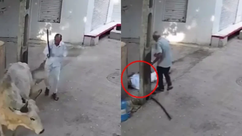 मारो, मारो… सांड ने शख्स पर हमला, अंकल की खड़ी हो गई खाट, वीडियो हुआ वायरल