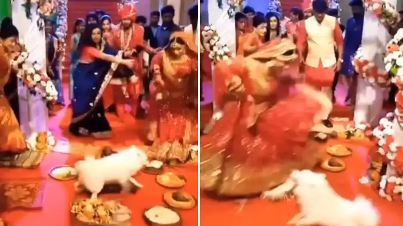 खिलाड़ी निकला यह हिंदू लड़का, एक नहीं दो-दो मुस्लिम लड़कियों को बीबी बनाकर अब काट रहा मौज