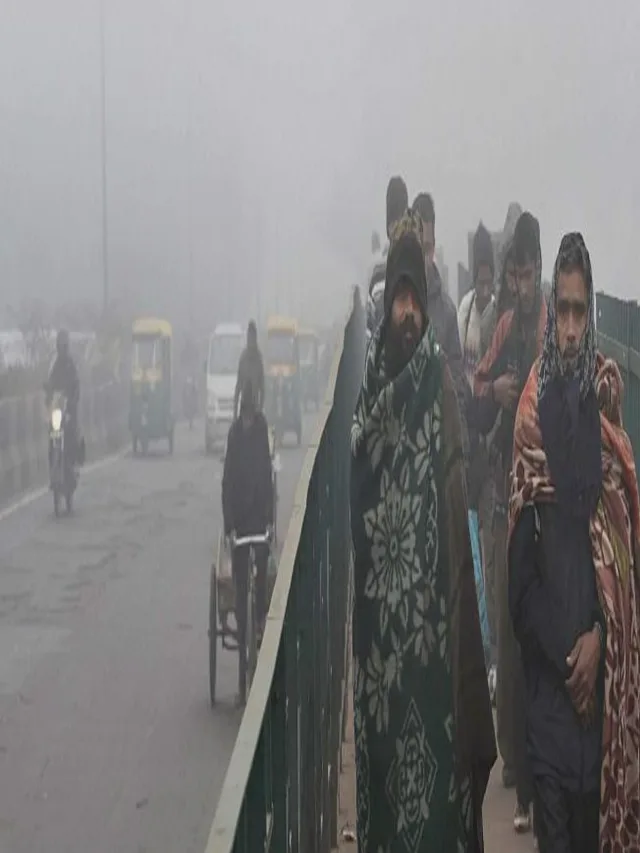 सर्दियों में अमृत से कम नहीं ये छोटा सा फल