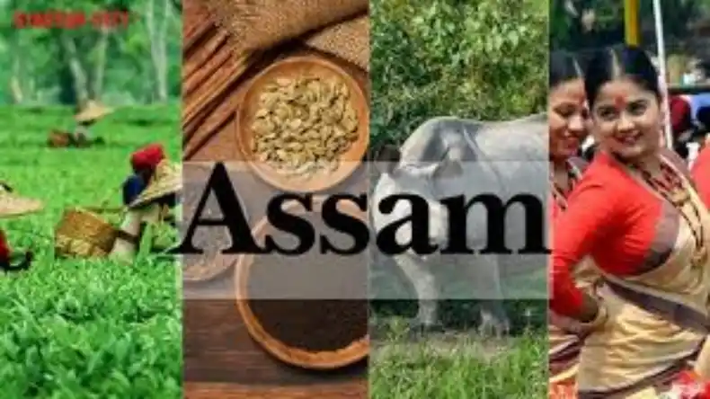अगर असम जाने का बना रहे हैं प्लान, इन मार्केट्स की जरूर करें सैर