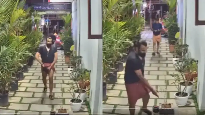 Video: गुप्तांगों के बाल तोड़कर पवित्र तुलसी मां को किया गंदा, मुस्लिम शख्स की शर्मनाक हरकत देख खौल उठेगा खून