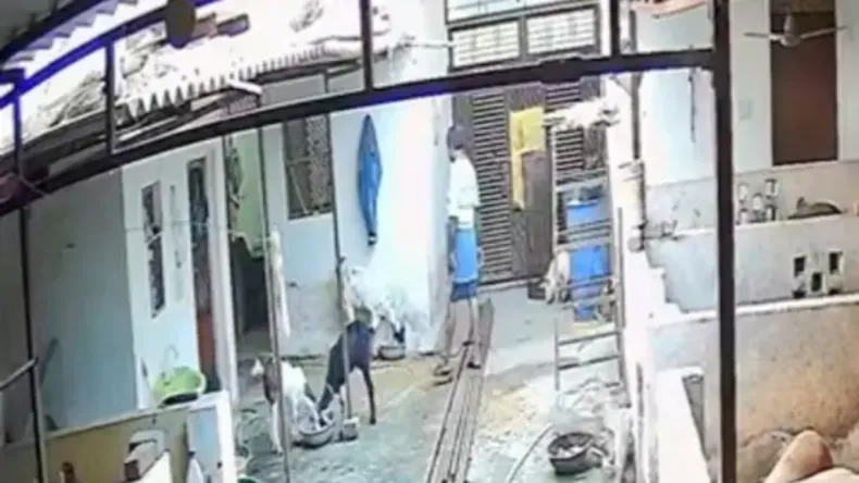 50 साल के अधेड़ ने बकरी के साथ किया दुष्कर्म, घिनौनी हरकत अर्धनग्न दिखा हैवान