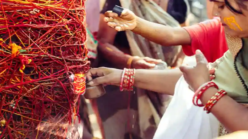 इन पेड़ों पर कलावा बांधने से दूर होंगी सारी परेशानी, पैसों से भर जाएगी जेब और नौकरी में मिलेगी सफलता