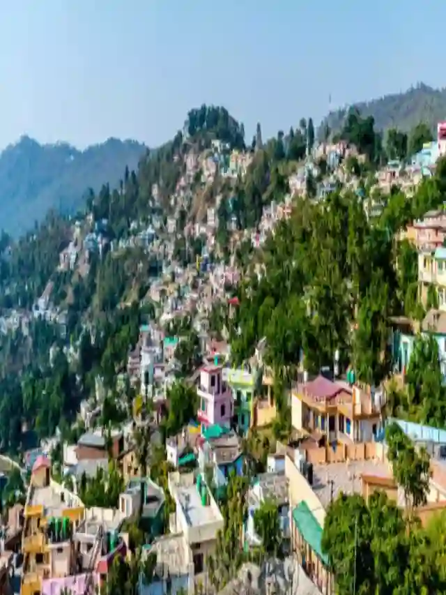 गरीबी के मामले में उत्तराखंड का ये शहर सबसे ऊपर, लेकिन क्यों?