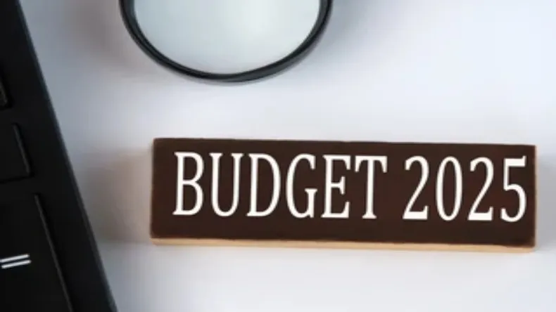बजट 2025 में बायोगैस पर होगा बड़ा ऐलान, कॉरपोरेट टैक्स में छूट मिलने की उम्मीद