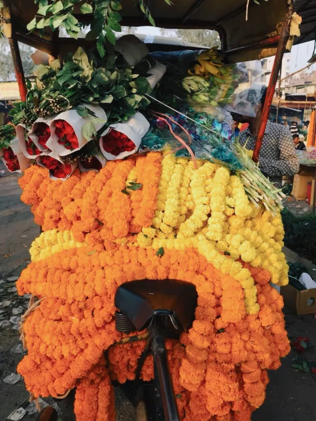 दिल्ली रंग-बिरंगे फूलों का शहर, इन जगहों पर बसती है खुशबू