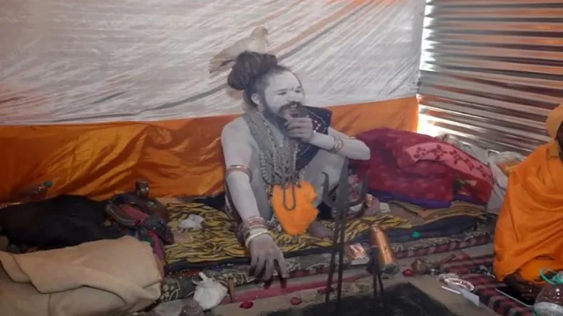 Mahakumbh: ये क्या! 9 साल से सिर पर बैठा, महाकुंभ में कबूतर वाले बाबा का जादू देख हर कोई हैरान, वीडियो वायरल