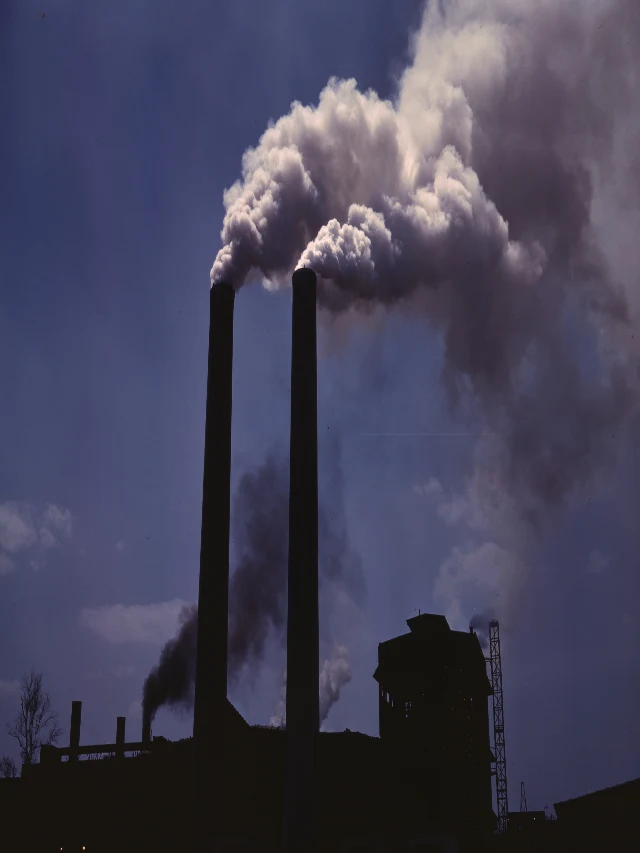 हर साल Air Pollution से हो रही कितने लोगों की मौत