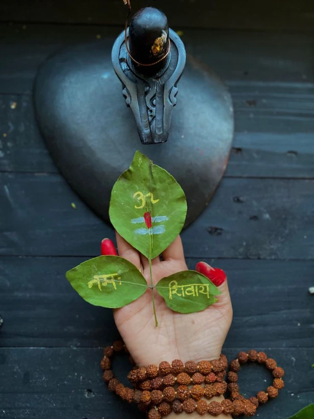 बेलपत्र तोड़ने से पहले जानें ये जरुरी बातें