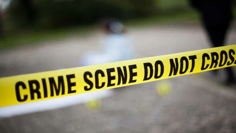 हरियाणा के पलवल मुठभेड़ में पुलिस ने 2 बदमाश को उतरा मौत के घाट, 3 जवान घायल