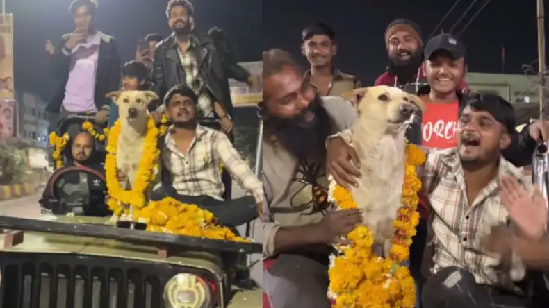 दोस्तों ने मिलकर मनाया पालतू कुत्ते का रॉयल जन्मदिन, फिर किया ऐसे जगह पर विश, देखें वीडियो