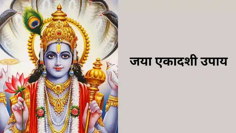 जया एकादशी पर ऐसे करें भगवान विष्णु को प्रसन्न, मिलेगी कष्टों से मुक्ति, बरसेगा अपार धन