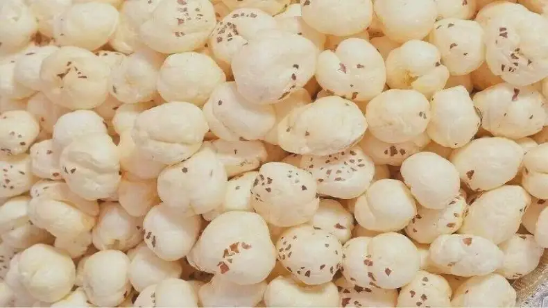 सुबह खाली पेट मखाना खाने से क्या होता है? फायदे जानकर रह जाएंगे हैरान