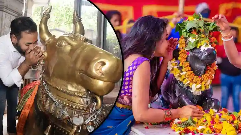 भगवान शिव के वाहन नंदी के किस कान में कहनी चाहिए मनोकामना, जानें क्या है सही तरीका