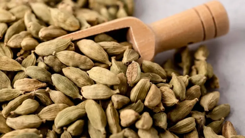 इलायची खाने से दूर होती हैं ये 7 खतरनाक बीमारियां  
