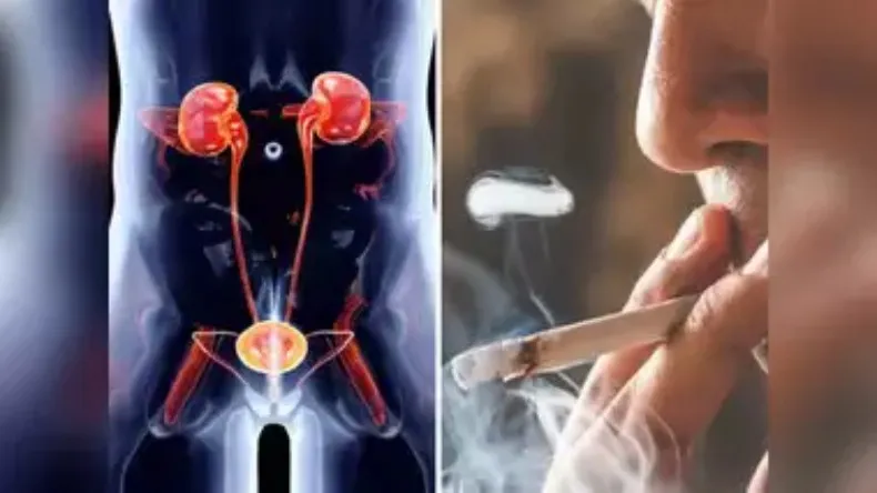 सिगरेट न पीने वाले भी हो रहे हैं लंग्स कैंसर के शिकार, इन लक्षणों को नजरअंदाज किया तो आपके भी सड़ सकते हैं फेफड़े!