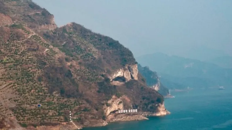 Puppy Mountain : देखने के लिए उमड़ी भीड़, बना आकर्षण का केंद्र, एक फोटो से मची सनसनी