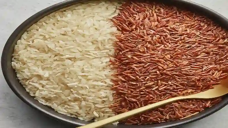 व्हाइट राइस या ब्राउन, आखिर कौन सा चावल खाने से मिलेंगे सेहत को फायदे, जानें लाभ