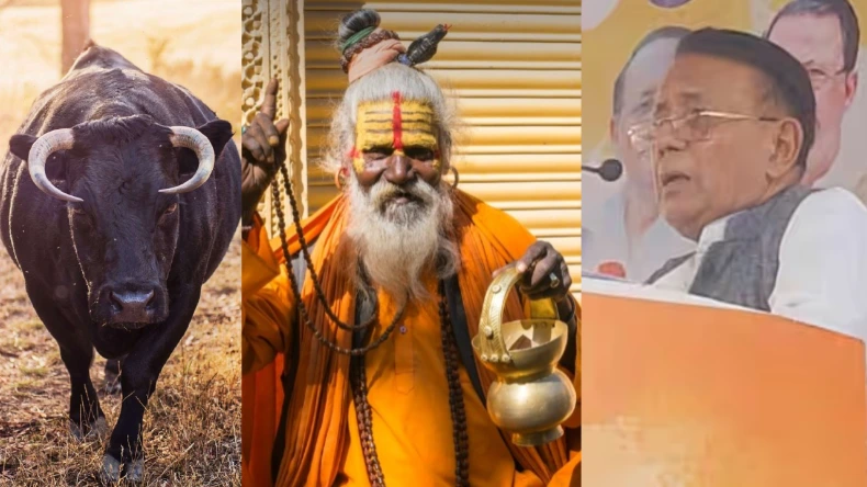सनातन का ऐसा अपमान! कांग्रेस विधायक ने पार की सारी हदें, सांड से की साधु-संतों की तुलना