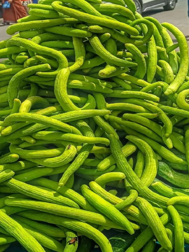 गर्मियों में रोज़ाना खाये ककड़ी, मिलेंगे ये फायदे