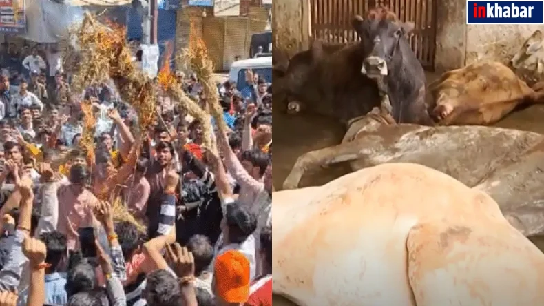 रोजा रखकर गाय काट रहे मुसलमान, गर्भवती गाय के एक-एक अंग को अलग कर दिया, भड़के हिंदुओ ने बंद कर दिया पूरा दमोह