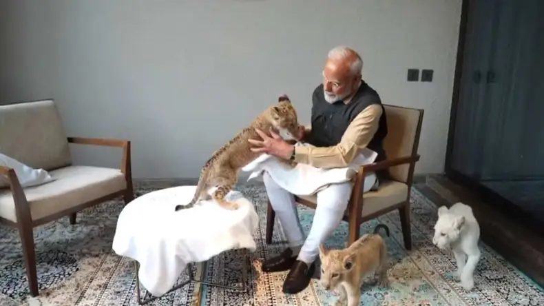 PM मोदी ने शेर के बच्चों को गोद में बैठकर पिलाया दूध, यूजर ने हिम्मत की दी दाद