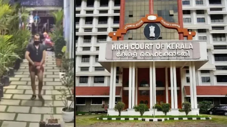 अब्दुल ने तुलसी के पौधे पर डाले गुप्तांग के बाल, केरल हाईकोर्ट का सख्त रुख, पुलिस को कार्रवाई का आदेश