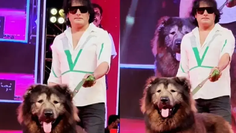 भेड़िये से भी ज्यादा खूंखार, 75 KG वजन, Dog लवर ने इस कुत्ते के लिए लुटाए 50 करोड़