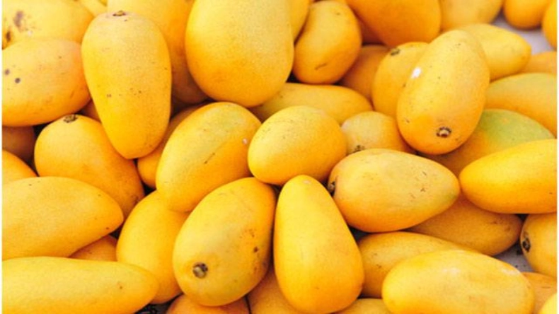 कैल्शियम कार्बाइड से पका आम खाया तो बीमार होना तय, ऐसे करें पहचान