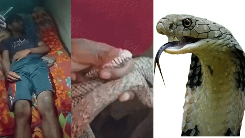 मुस्कान से भी बड़ी जल्लाद निकली मेरठ की यह महिला, बॉयफ्रेंड के साथ मिलकर पति की कर दी हत्या फिर 10 बार सांप से डसवाया