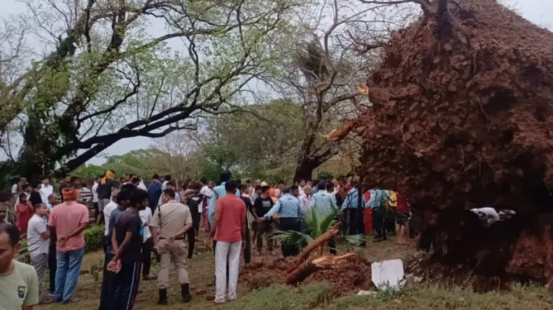 बिहार में कुदरत का कहर, नालंदा में आंधी-तूफान से 7 की मौत, कई जिलों में मचा हाहाकार