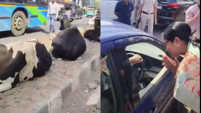 CM रेखा गुप्ता ने कट्टर सनातनी होते हुए भी पहले नियम को दिया सम्मान, सड़क से गायों को हटवाया, हाथ जोड़ कर दिखाई विनम्रता