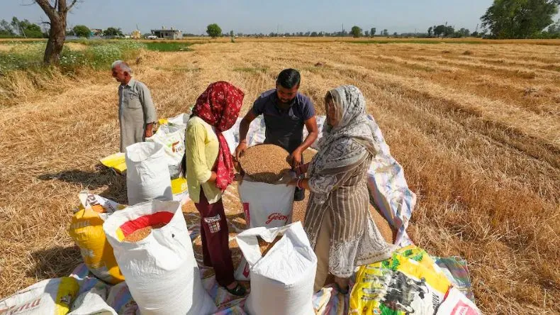 कुछ बड़ा होने का संकेत! बॉर्डर के पास वाले गांवों के किसानों को BSF का आदेश, दो दिन के अंदर फसल काट खेत खाली करो