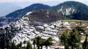 Shimla