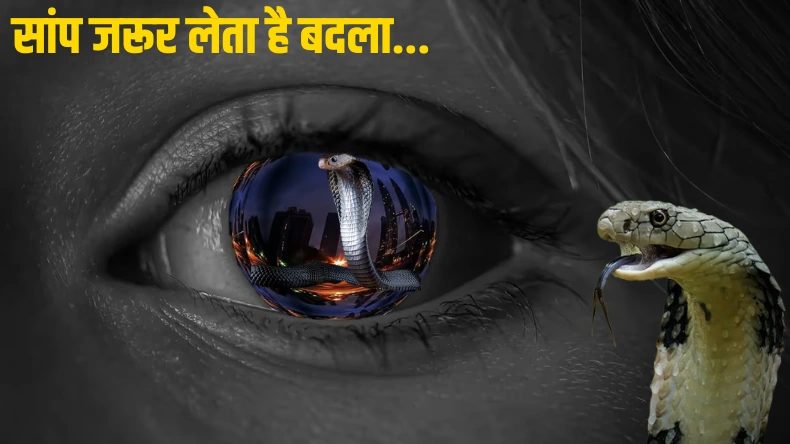 सांप जरूर लेता है बदला…हर साल भारत में सर्पदंश से मर रहे 58 हजार लोग, क्या नागिन चुन-चुनकर दे रही मौत?