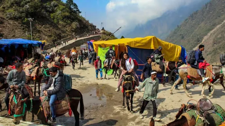 केदारनाथ यात्रा: खच्चरों में फैली रहस्यमयी बीमारी, प्रशासन ने 24 घंटे के लिए लगाई रोक