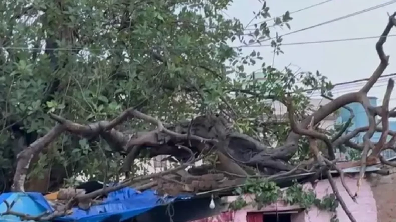 दिल्ली में विनाशकारी बना तूफान, घर गिरने से 3 मासूम समेत 4 की मौत, घरों में दुबके लोग